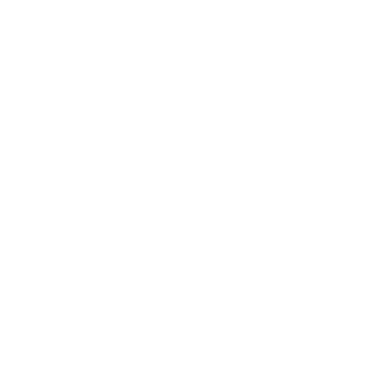 CiBiDy