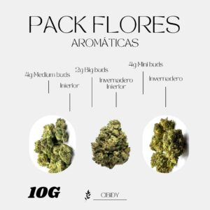 Pack Flores
